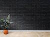 black brick wall with light wood floor and plant on left